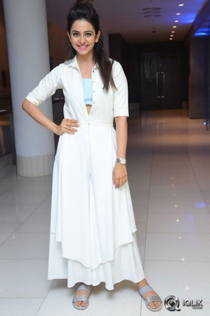 Rakul-Preet-Singh-at-Sarrainodu-Movie-Success-Meet